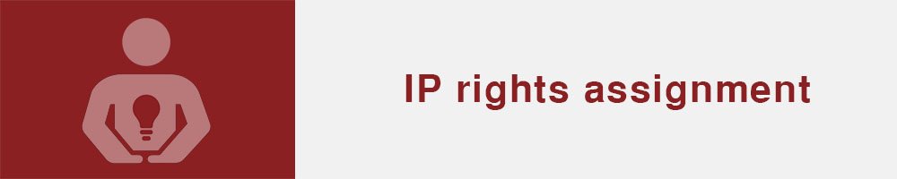 Assignment of IP rights